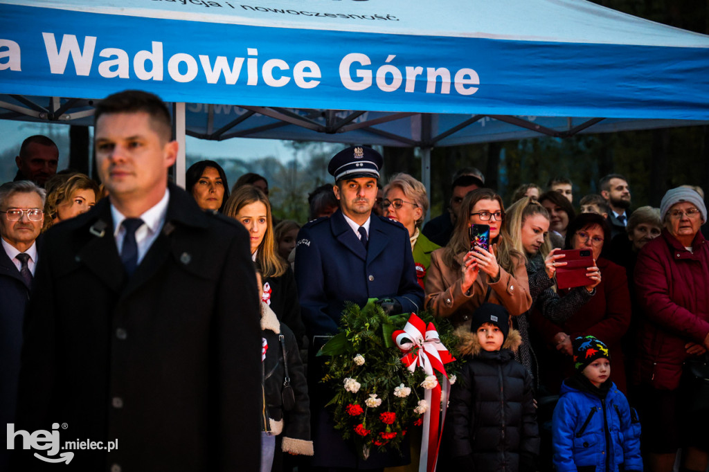 Święto Niepodległości w Wierzchowinach