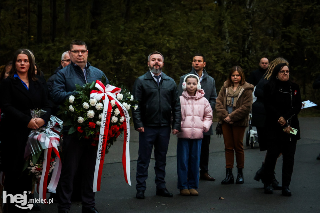 Święto Niepodległości w Wierzchowinach