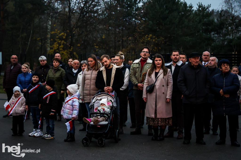 Święto Niepodległości w Wierzchowinach