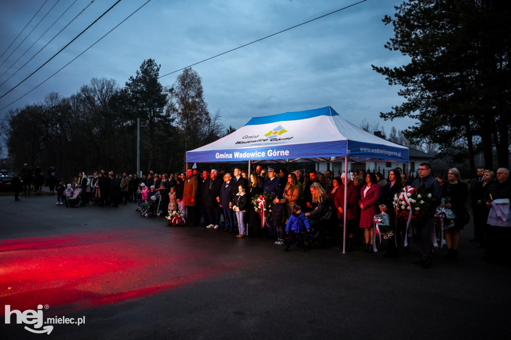 Święto Niepodległości w Wierzchowinach