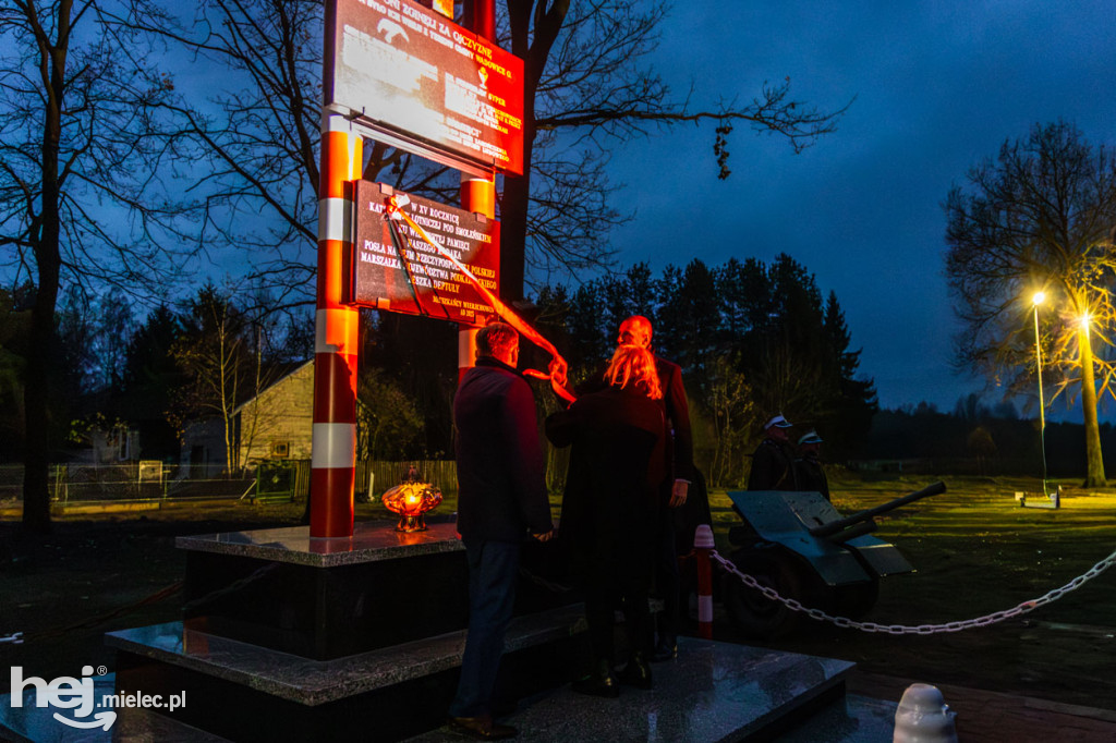 Święto Niepodległości w Wierzchowinach