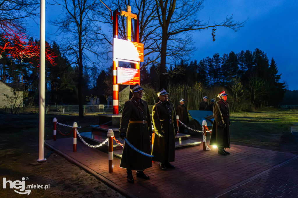 Święto Niepodległości w Wierzchowinach