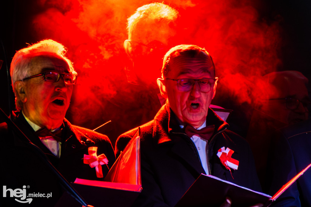 Święto Niepodległości w Wierzchowinach