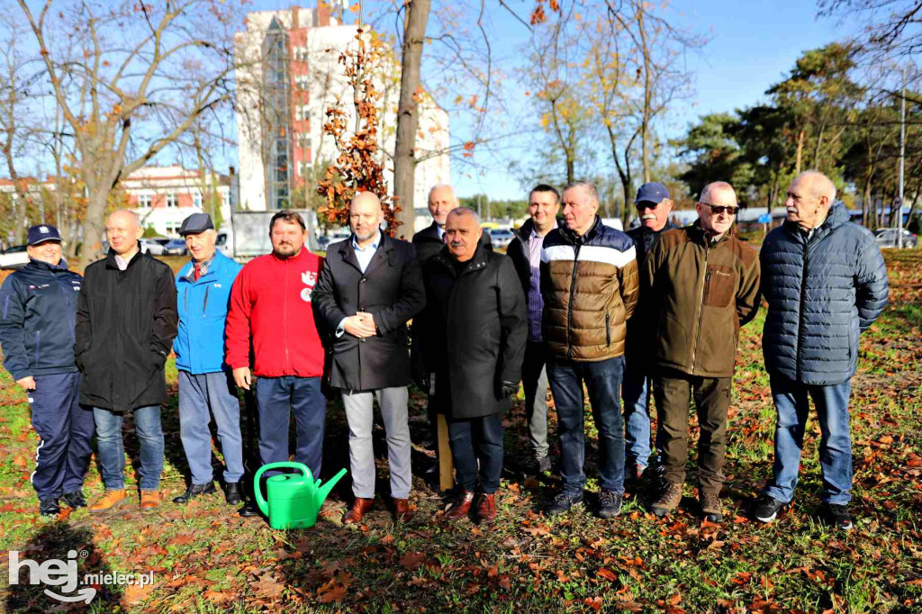 Obchody 90-lecia Honorowego Krwiodawstwa