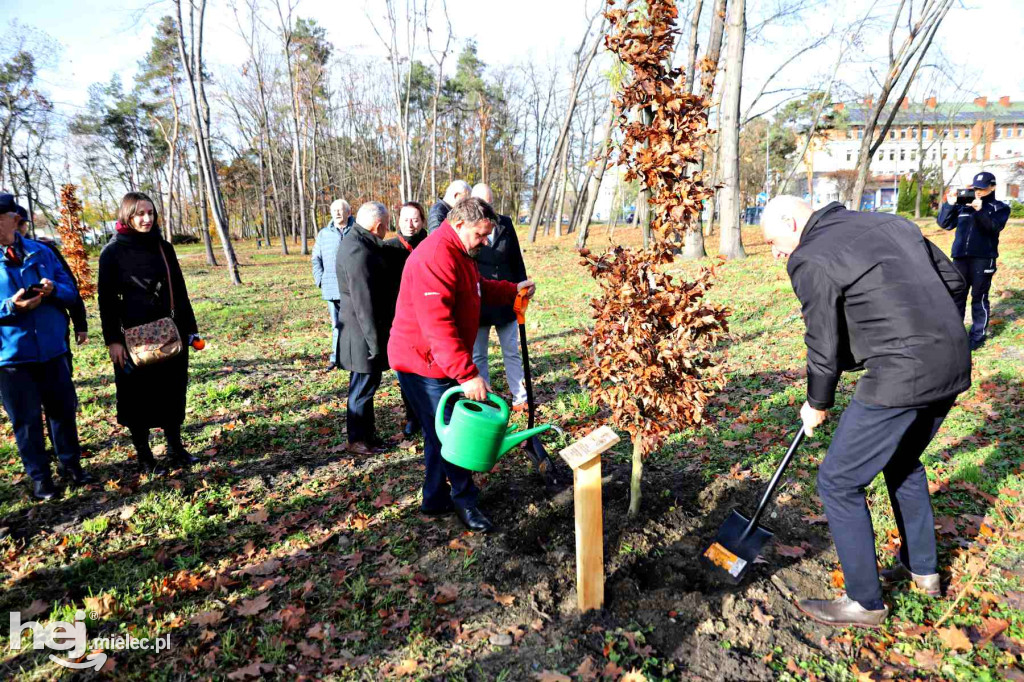 Obchody 90-lecia Honorowego Krwiodawstwa