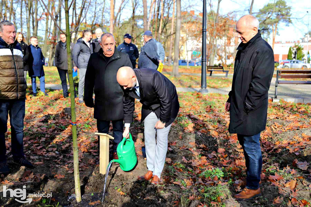 Obchody 90-lecia Honorowego Krwiodawstwa