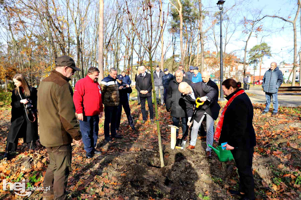 Obchody 90-lecia Honorowego Krwiodawstwa