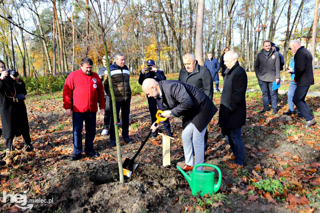 Obchody 90-lecia Honorowego Krwiodawstwa