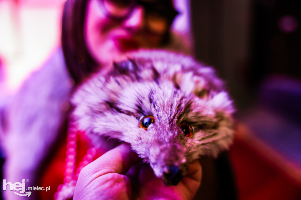 Koncert Nareszcie Niepodległa - piosenki 20-lecia międzywojennego w DK Przecław