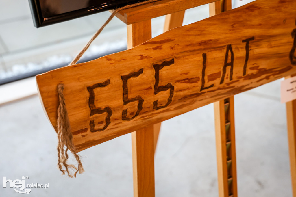 Wystawa Mielec 555 - artystyczne odkrywanie miasta