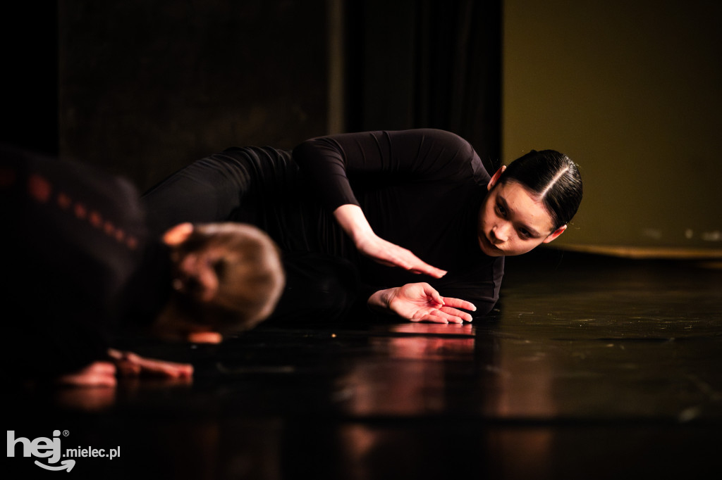 Konfrontacje Kontrasty