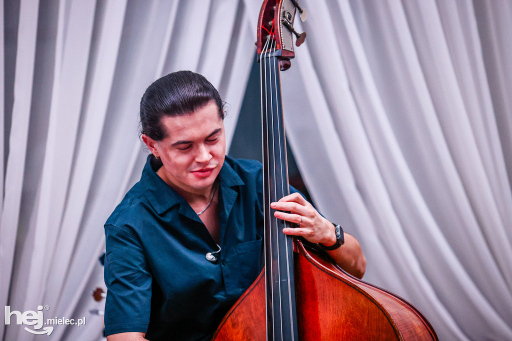 Koncert Janka Szynala w murach Zamku Przecław