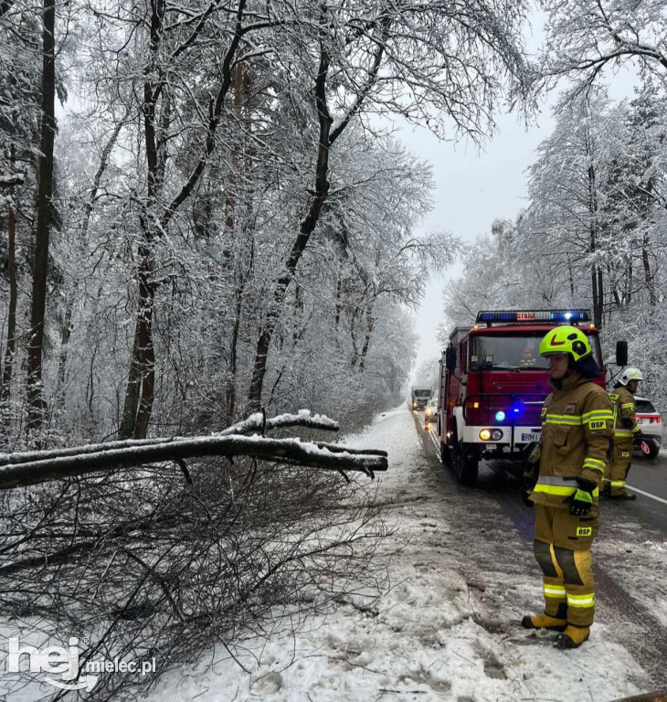 Mokry śnieg łamiący drzewa i śliskie drogi. Strażacy z powiatu z wezwaniami