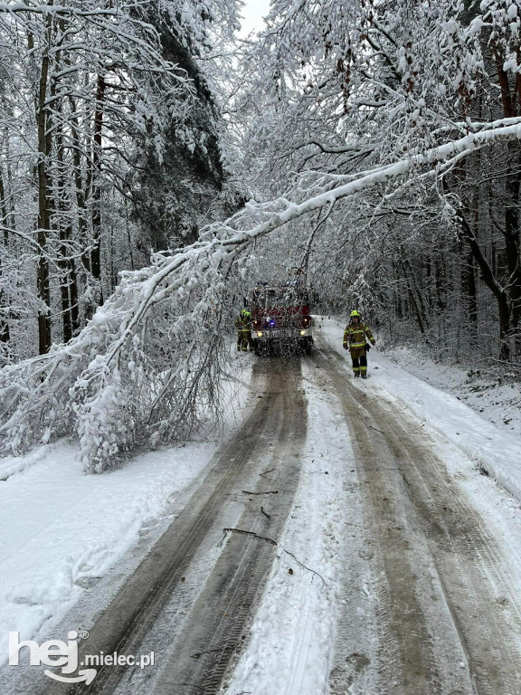 Mokry śnieg łamiący drzewa i śliskie drogi. Strażacy z powiatu z wezwaniami