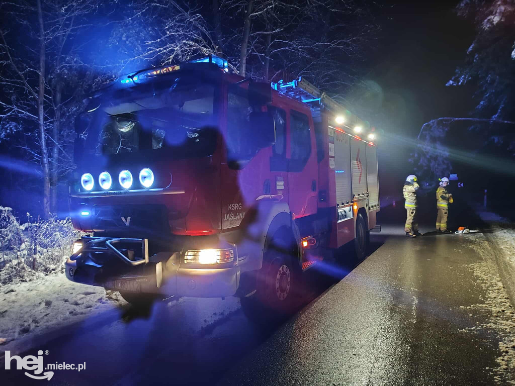 Mokry śnieg łamiący drzewa i śliskie drogi. Strażacy z powiatu z wezwaniami