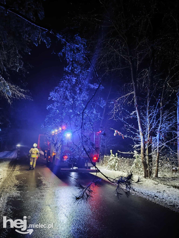 Mokry śnieg łamiący drzewa i śliskie drogi. Strażacy z powiatu z wezwaniami