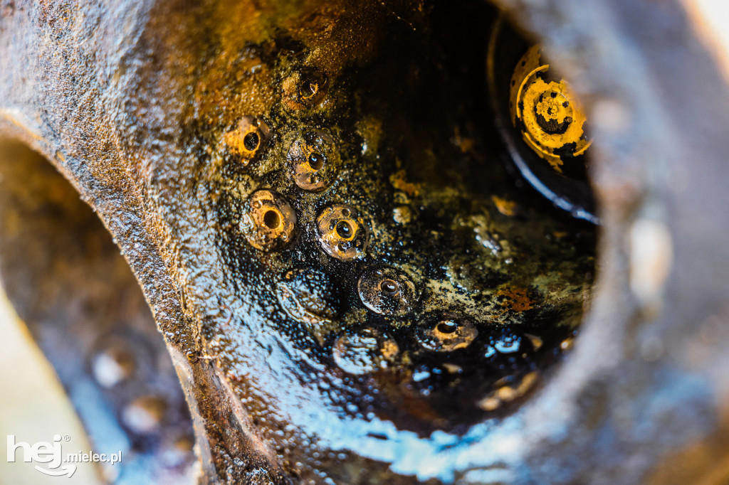 Szczątki rakiety V2 odkryte w listopadzie 2025