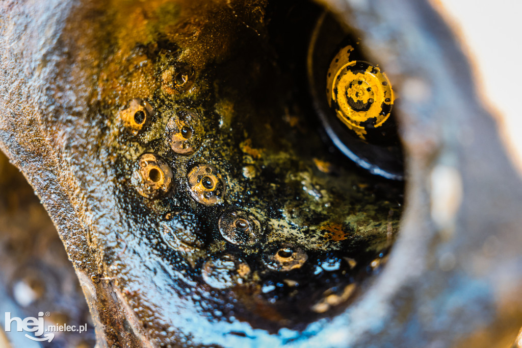 Szczątki rakiety V2 odkryte w listopadzie 2025