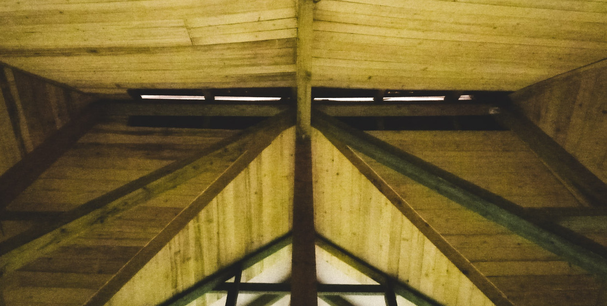 W Mielcu powstał pierwszy wolier dla nietoperzy