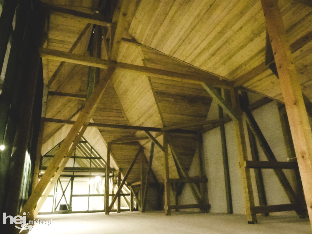 W Mielcu powstał pierwszy wolier dla nietoperzy