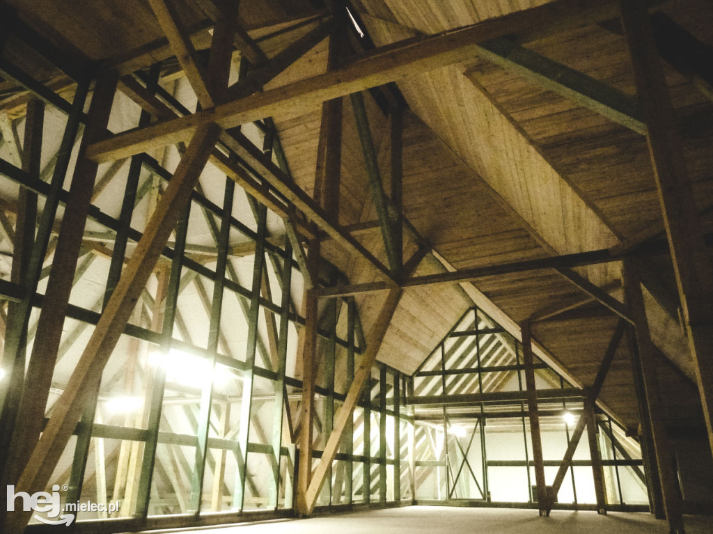 W Mielcu powstał pierwszy wolier dla nietoperzy