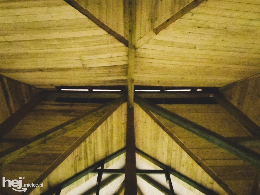 W Mielcu powstał pierwszy wolier dla nietoperzy