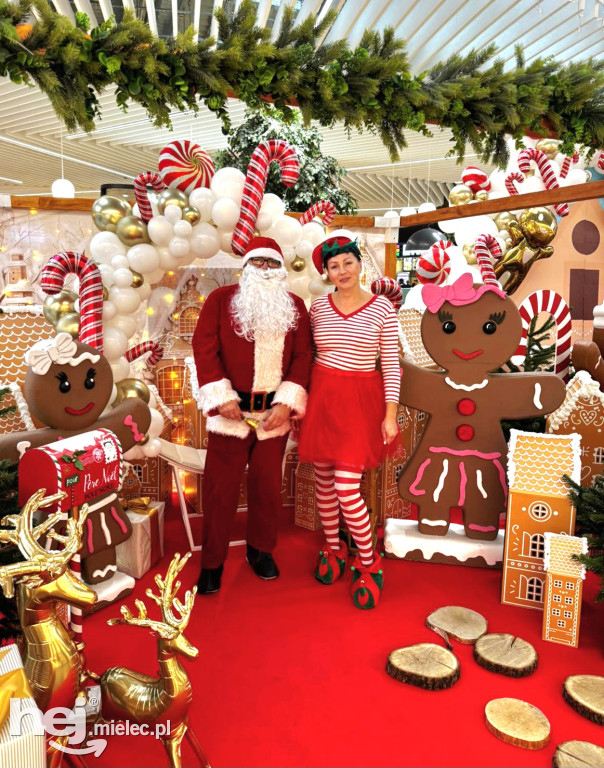 Piernikowa Kraina w Galerii Navigator