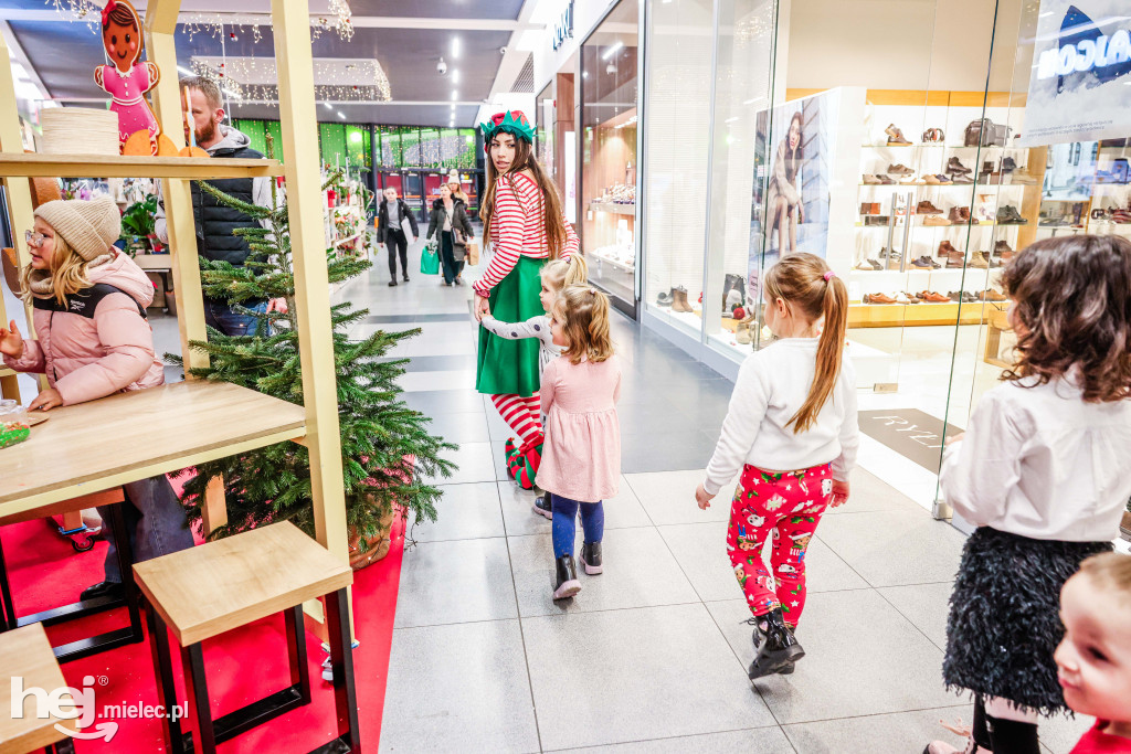 Piernikowa Kraina w Galerii Navigator