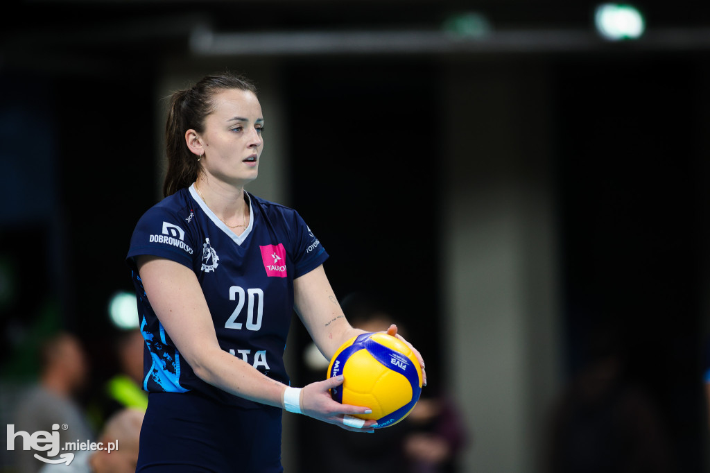 DevelopRes Rzeszów - ITA Tools Stal Mielec