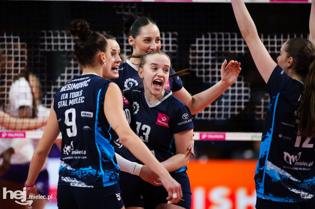 DevelopRes Rzeszów - ITA Tools Stal Mielec