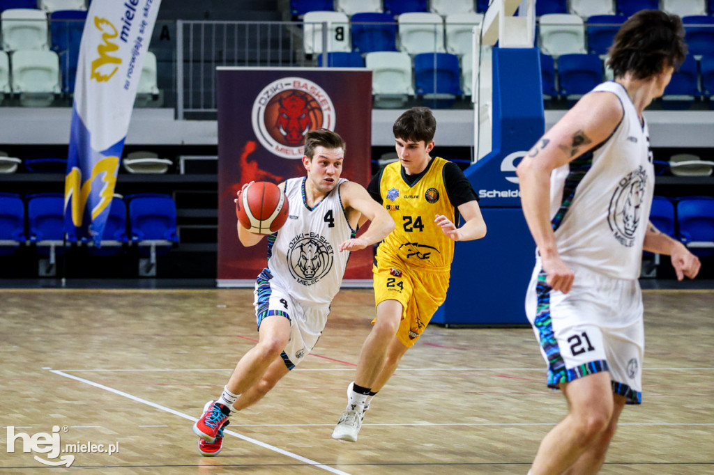 Koszykówka:  DZIKI MIELEC - PTG Sokół Łańcut