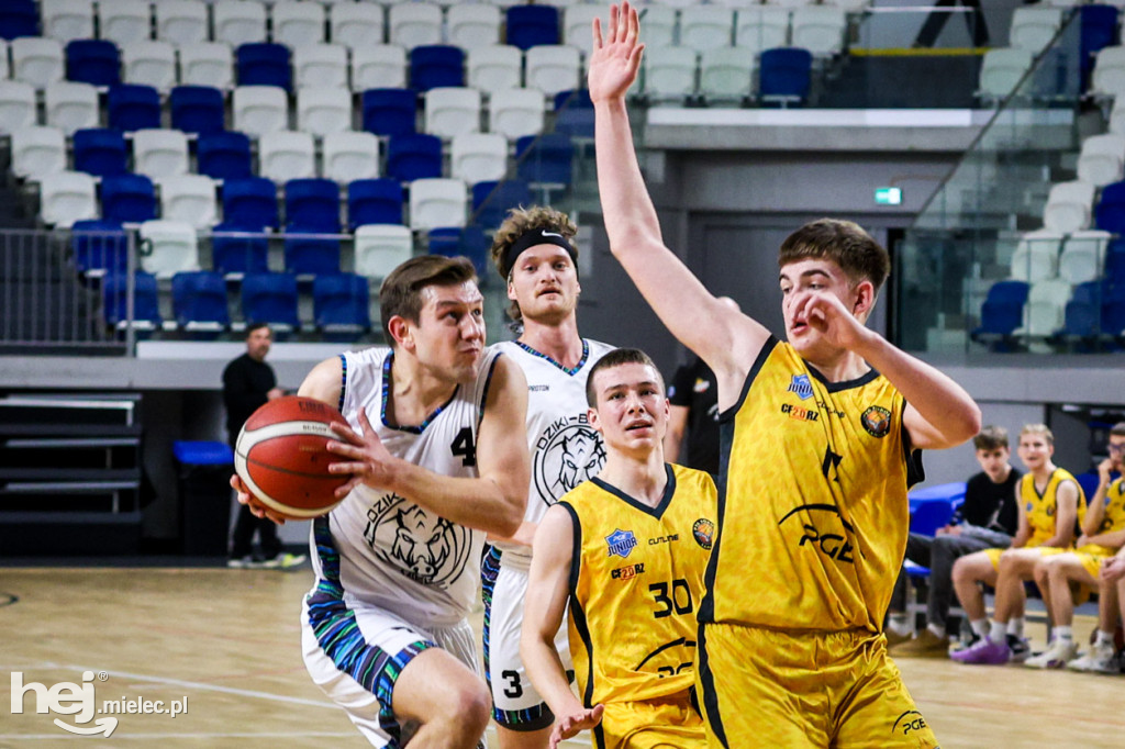 Koszykówka:  DZIKI MIELEC - PTG Sokół Łańcut