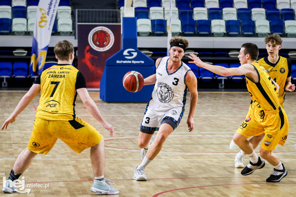 Koszykówka:  DZIKI MIELEC - PTG Sokół Łańcut