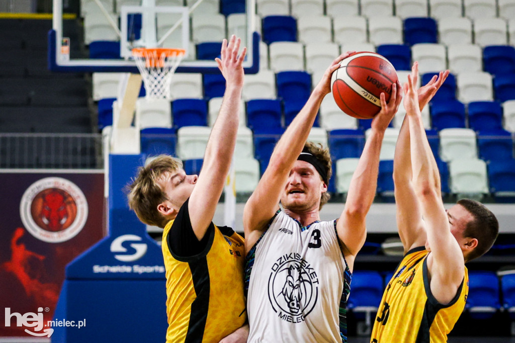 Koszykówka:  DZIKI MIELEC - PTG Sokół Łańcut
