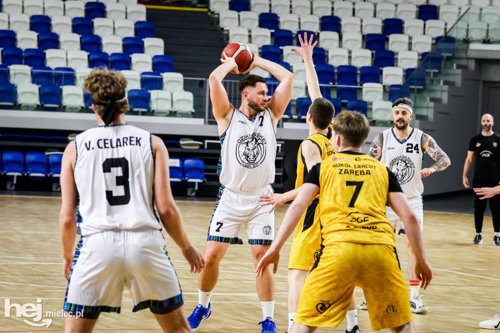 Koszykówka:  DZIKI MIELEC - PTG Sokół Łańcut