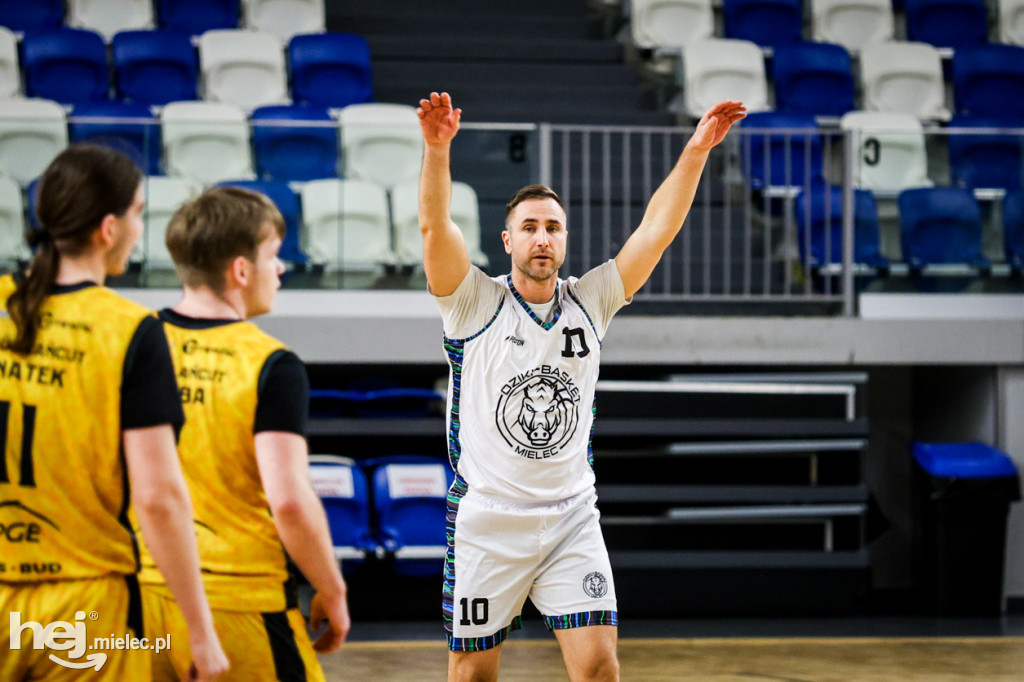 Koszykówka:  DZIKI MIELEC - PTG Sokół Łańcut
