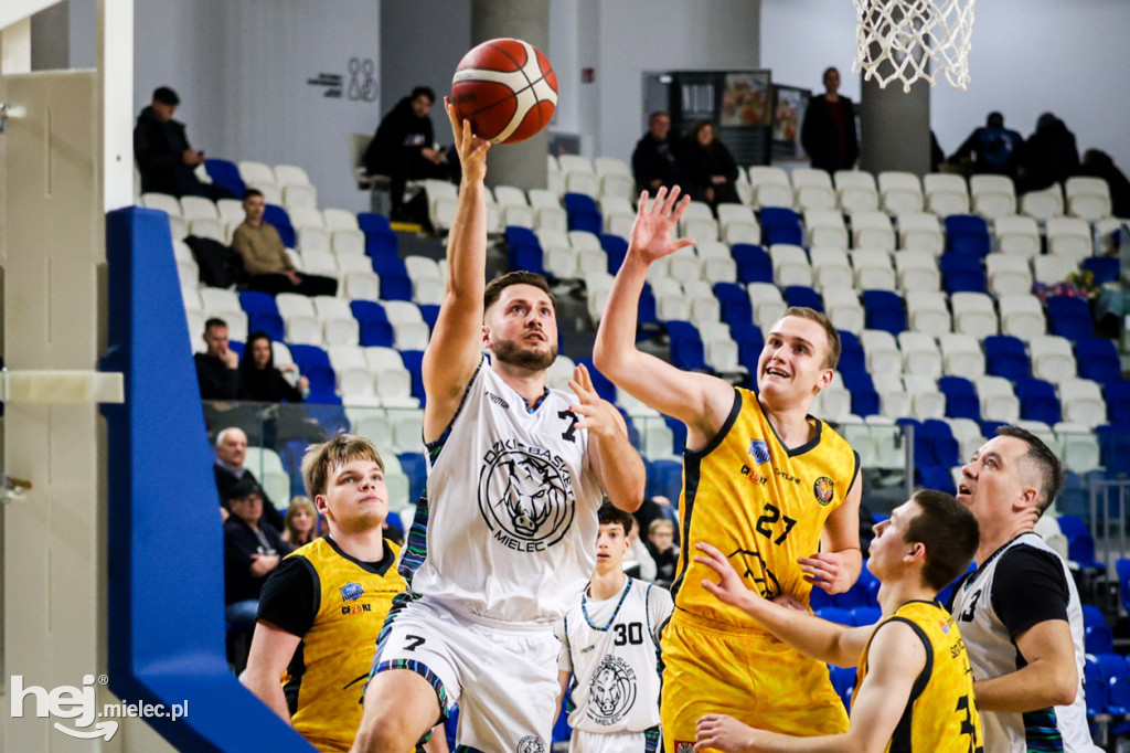 Koszykówka:  DZIKI MIELEC - PTG Sokół Łańcut