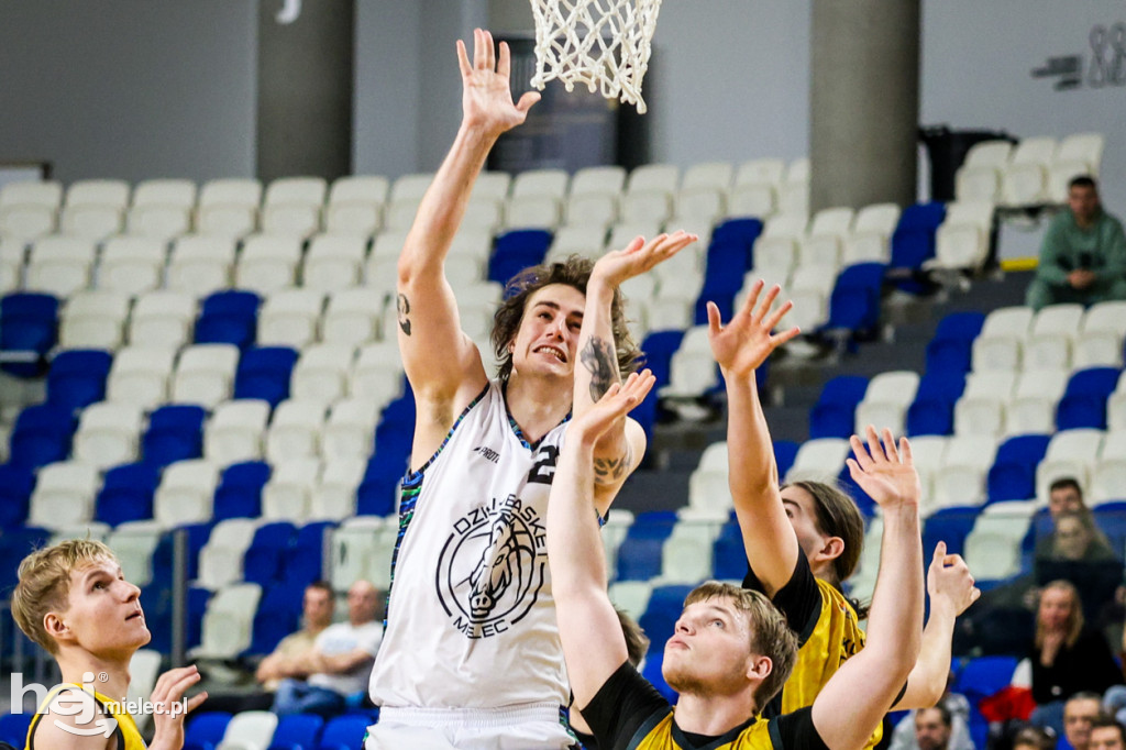 Koszykówka:  DZIKI MIELEC - PTG Sokół Łańcut