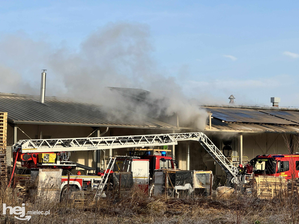Pożar w Trzcianie