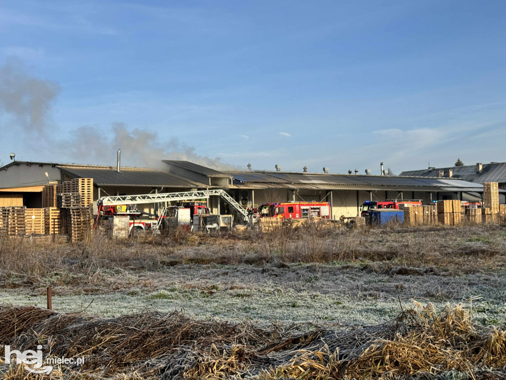 Pożar w Trzcianie