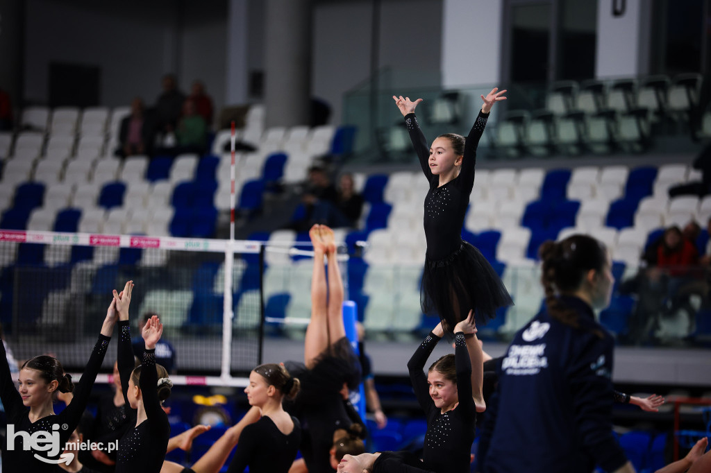 ITA Tools Stal Mielec - Lotto Chemik Police