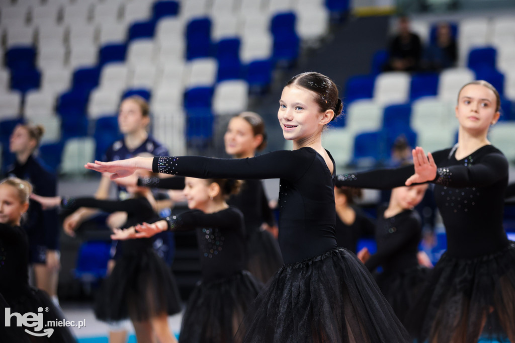 ITA Tools Stal Mielec - Lotto Chemik Police