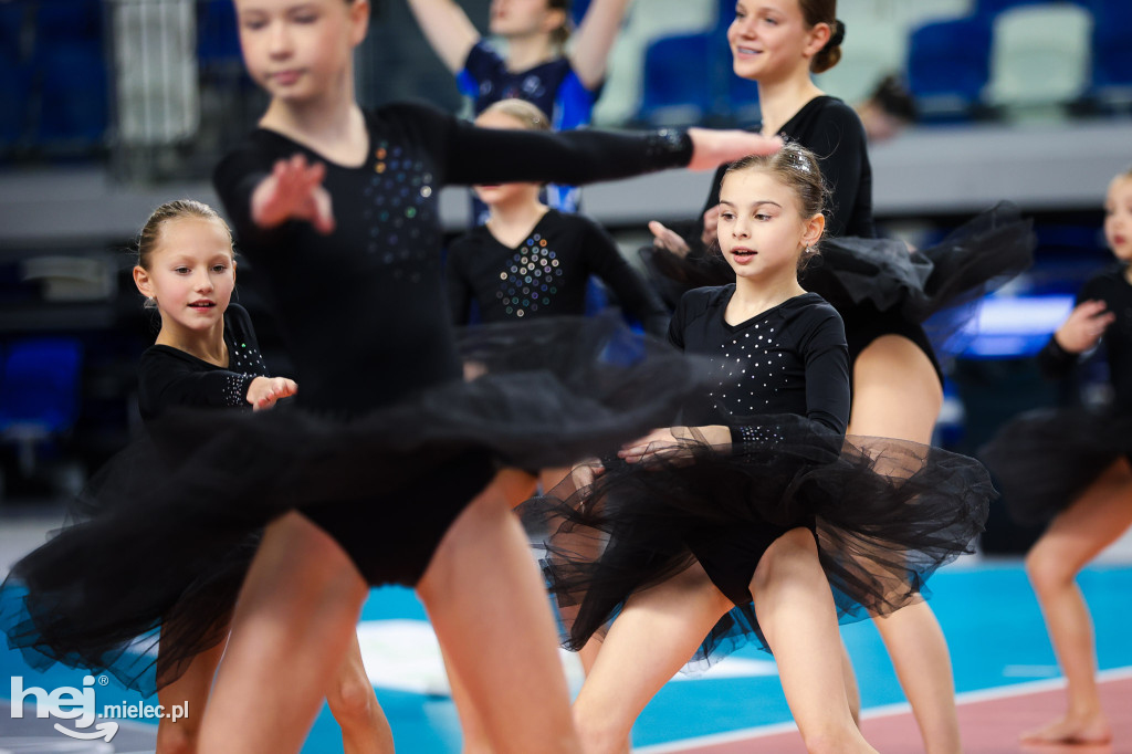 ITA Tools Stal Mielec - Lotto Chemik Police