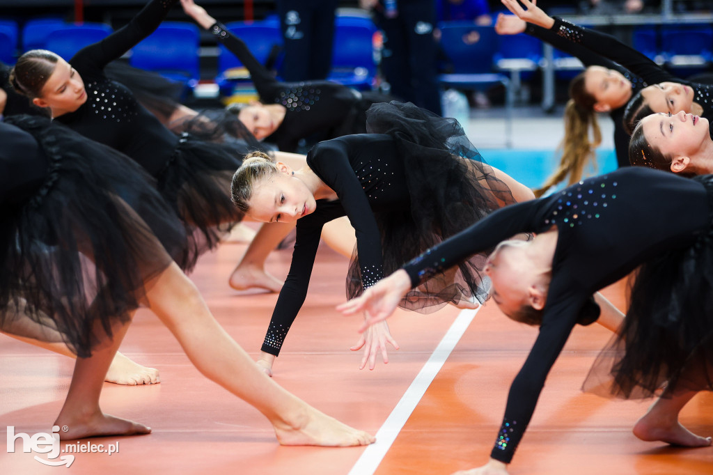 ITA Tools Stal Mielec - Lotto Chemik Police