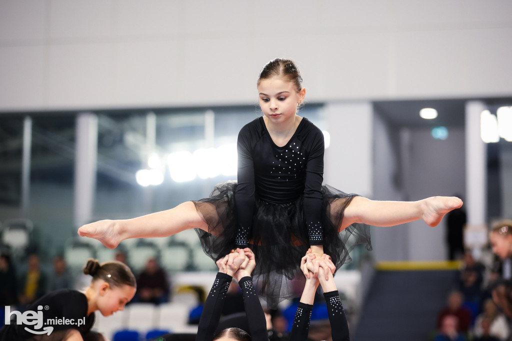 ITA Tools Stal Mielec - Lotto Chemik Police