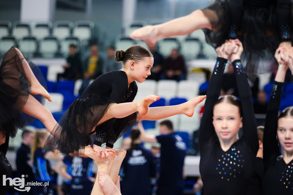 ITA Tools Stal Mielec - Lotto Chemik Police