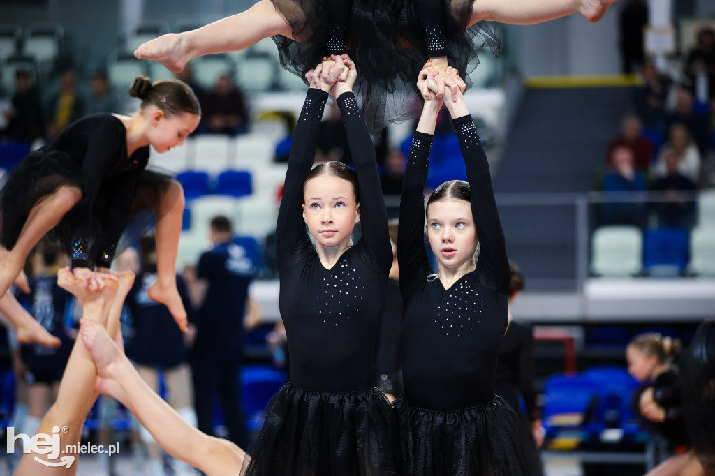 ITA Tools Stal Mielec - Lotto Chemik Police