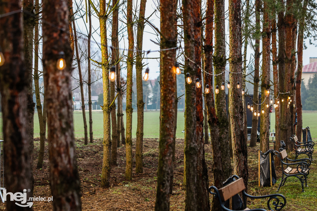 Pierwszy Bożonarodzeniowy Jarmark w Padwi Narodowej