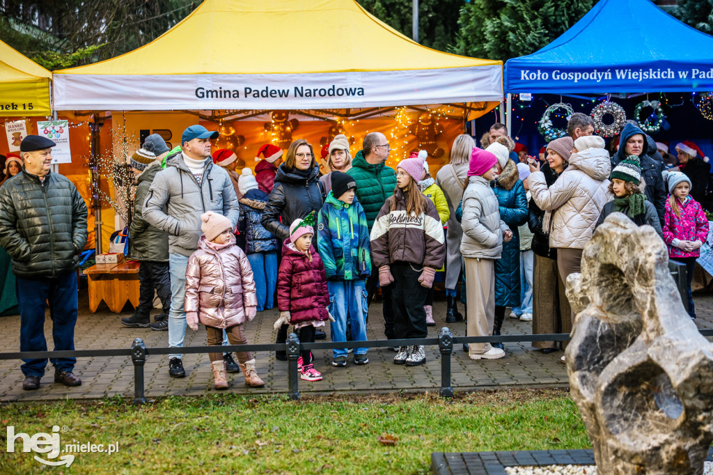 Pierwszy Bożonarodzeniowy Jarmark w Padwi Narodowej