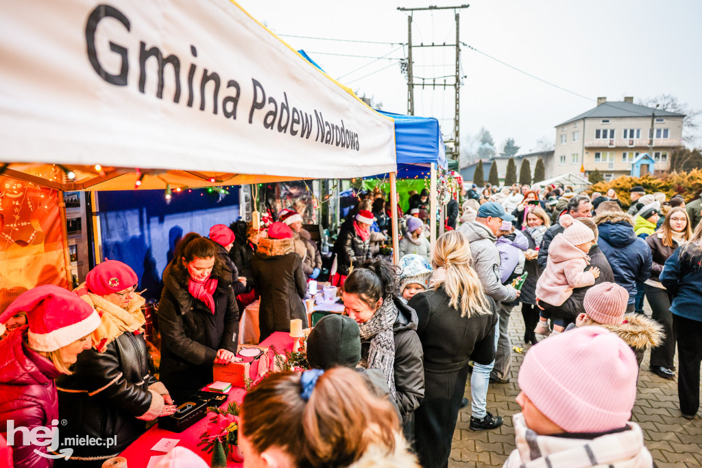 Pierwszy Bożonarodzeniowy Jarmark w Padwi Narodowej